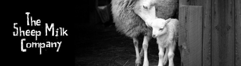 The Sheep Milk Company 768x211