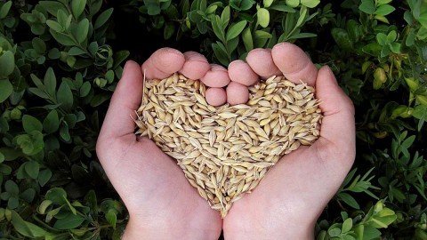 heart-group