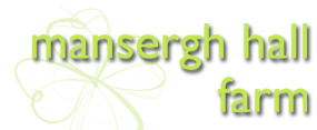 manserghhall logo