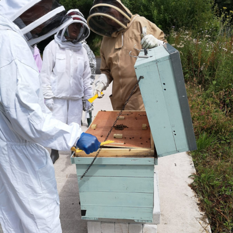 Lune Valley beekeepers tending local bees
