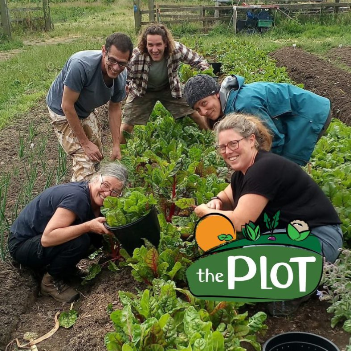 Gather_thePlot