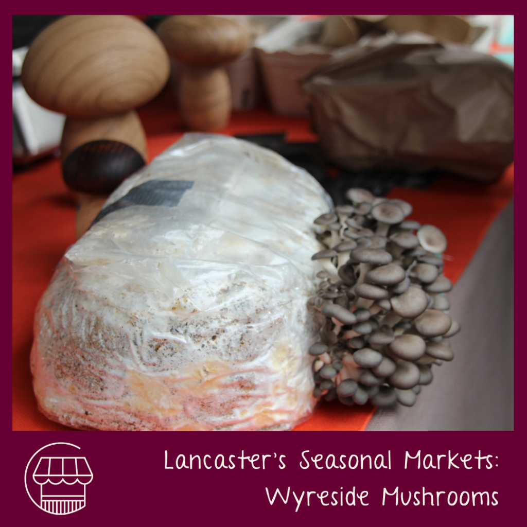Market Stories: Farming fungi for food