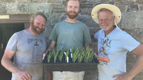 2025 FarmStart trainees at The Plot, Chris, Tommy and Richard